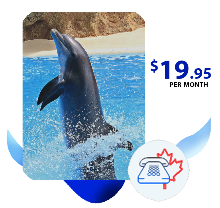 Canada Phone Plan Dolphin Global Tel
